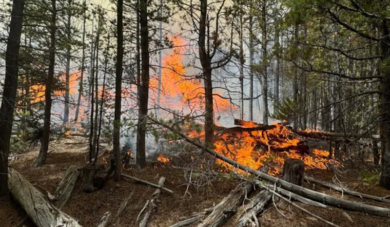 Containment Progresses on Pearl Fire Near Red Feather Lakes, Colorado as Aerial Support Joins Fight