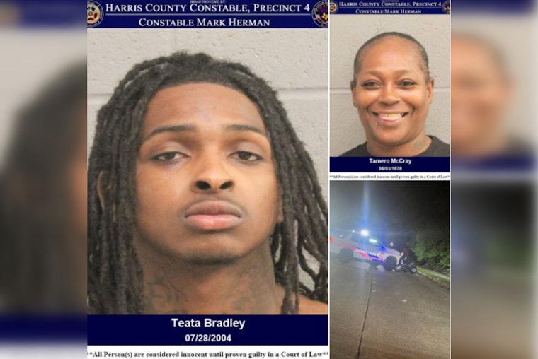 Convicted Felon Arrested After Houston Chase and Crash, K9 Mattress Mack Finds Suspect