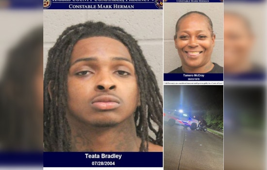 Convicted Felon Arrested After Houston Chase and Crash, K9 Mattress Mack Finds Suspect