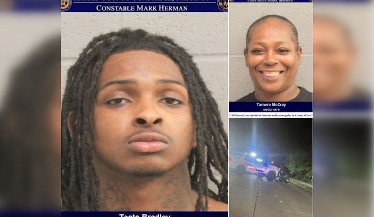 Convicted Felon Arrested After Houston Chase and Crash, K9 Mattress Mack Finds Suspect