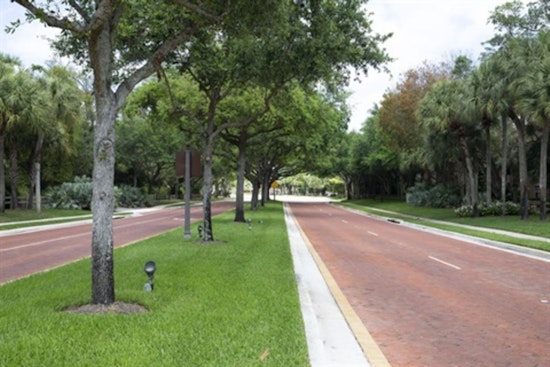 Coral Springs Completes Extensive Tree Inventory to Bolster Urban Forest Strategy