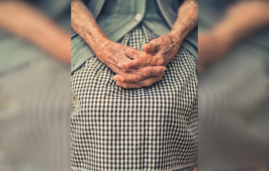 Davidson County's RESET Program Offers Economic Lifeline to Struggling Seniors in Nashville