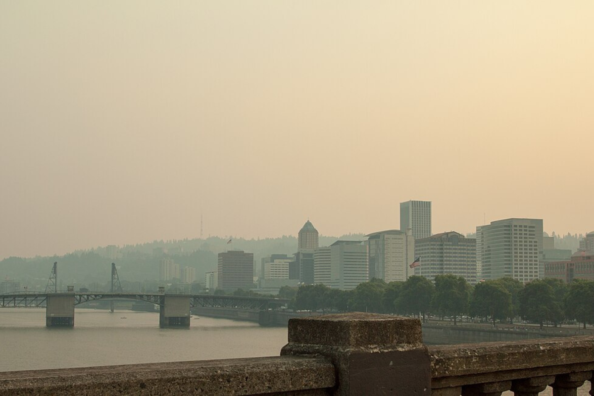 Dense Fog Advisory Hits Portland Commuters Face Low Visibility