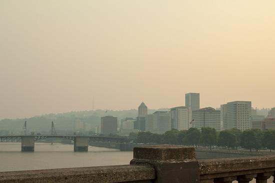Dense Fog Advisory Hits Portland: Commuters Face Low Visibility Challenges