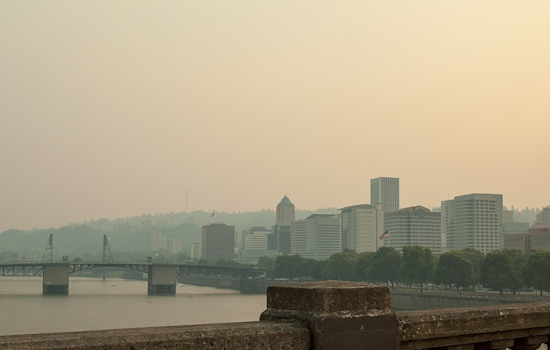 Dense Fog Advisory Hits Portland: Commuters Face Low Visibility Challenges