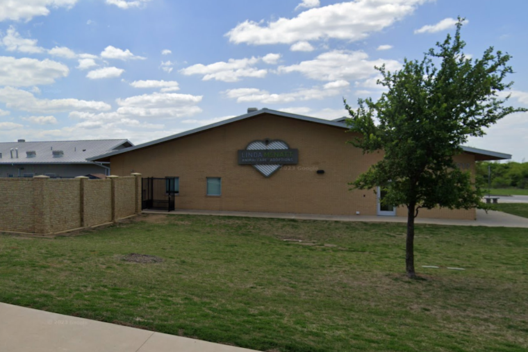 Denton Undertakes Comprehensive Review of Animal Services After Euthanasia Incident