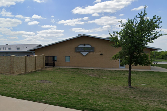 Denton Undertakes Comprehensive Review of Animal Services After Euthanasia Incident