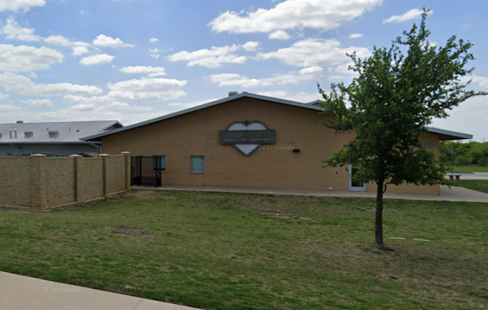 Denton Undertakes Comprehensive Review of Animal Services After Euthanasia Incident