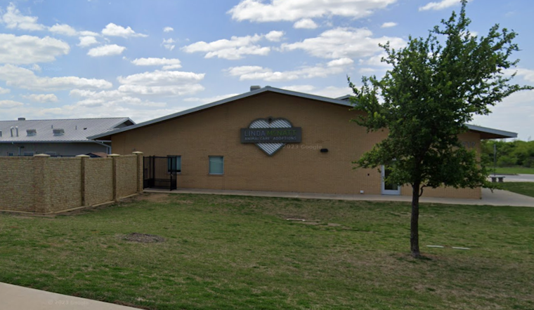 Denton Undertakes Comprehensive Review of Animal Services After Euthanasia Incident