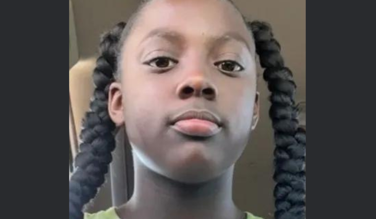 Detroit Police and Community Intensify Search for Missing 11-Year-Old Girl, Maleanie Joyner