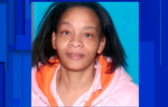 Detroit Police Seek Public's Aid in Search for Missing 62-Year-Old Cheryl Harris