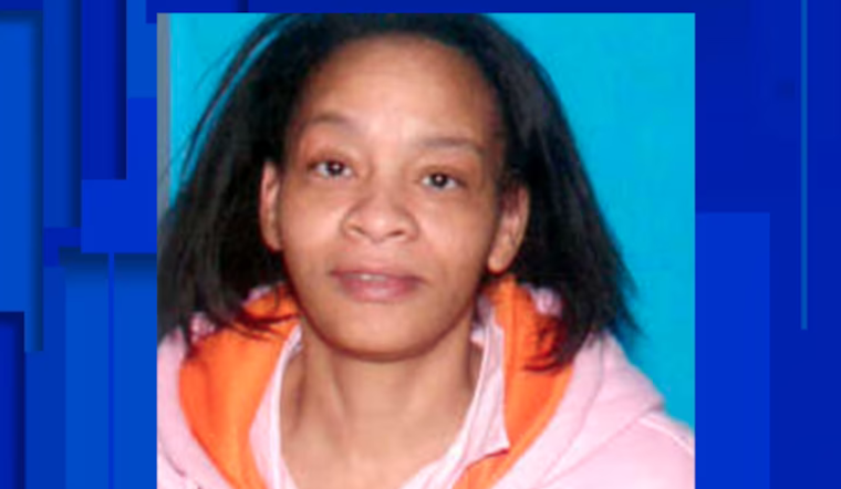 Detroit Police Seek Public's Aid in Search for Missing 62-Year-Old Cheryl Harris
