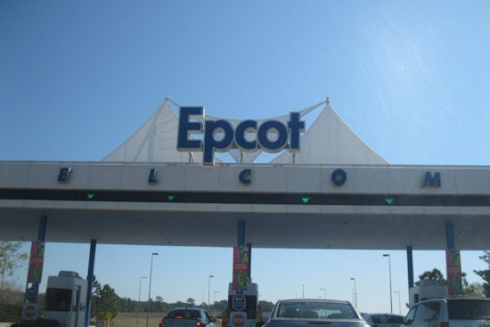 Disney's Epcot Waves Goodbye, Resident Dolphins to Relocate to Gulfarium Marine Adventure Park