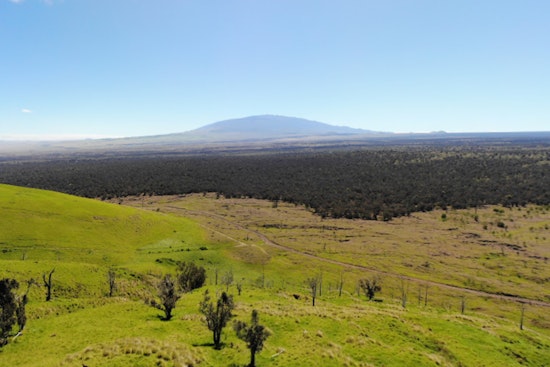 DLNR Introduces New Hunting Rules for Hawaiʻi Island's Puʻu Waʻawaʻa and Puʻu Anahulu Areas