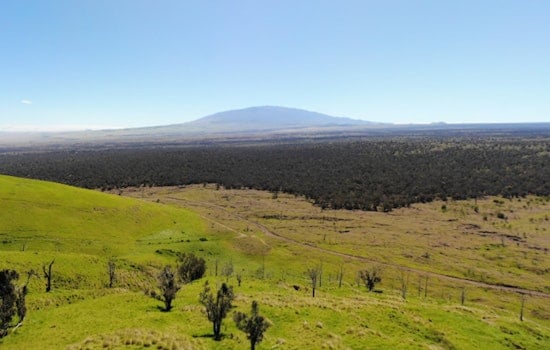 DLNR Introduces New Hunting Rules for Hawaiʻi Island's Puʻu Waʻawaʻa and Puʻu Anahulu Areas