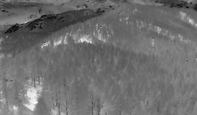 Douglas County Search and Rescue Responds to Unfounded SOS Signals Near Colorado Trail