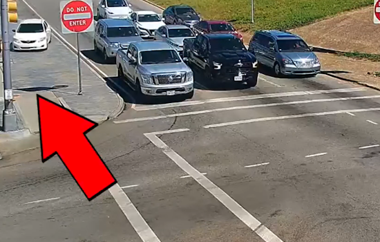 VIDEO: Driver Arrested for DWI and Illegal Handgun Possession After Crash on Las Vegas Trail