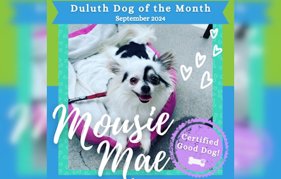 Duluth Celebrates Mousie Mae as Dog of the Month for Environmental Efforts