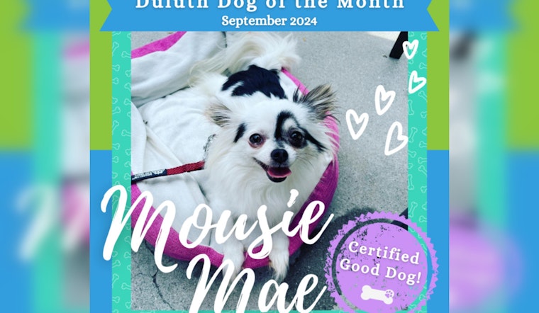 Duluth Celebrates Mousie Mae as Dog of the Month for Environmental Efforts