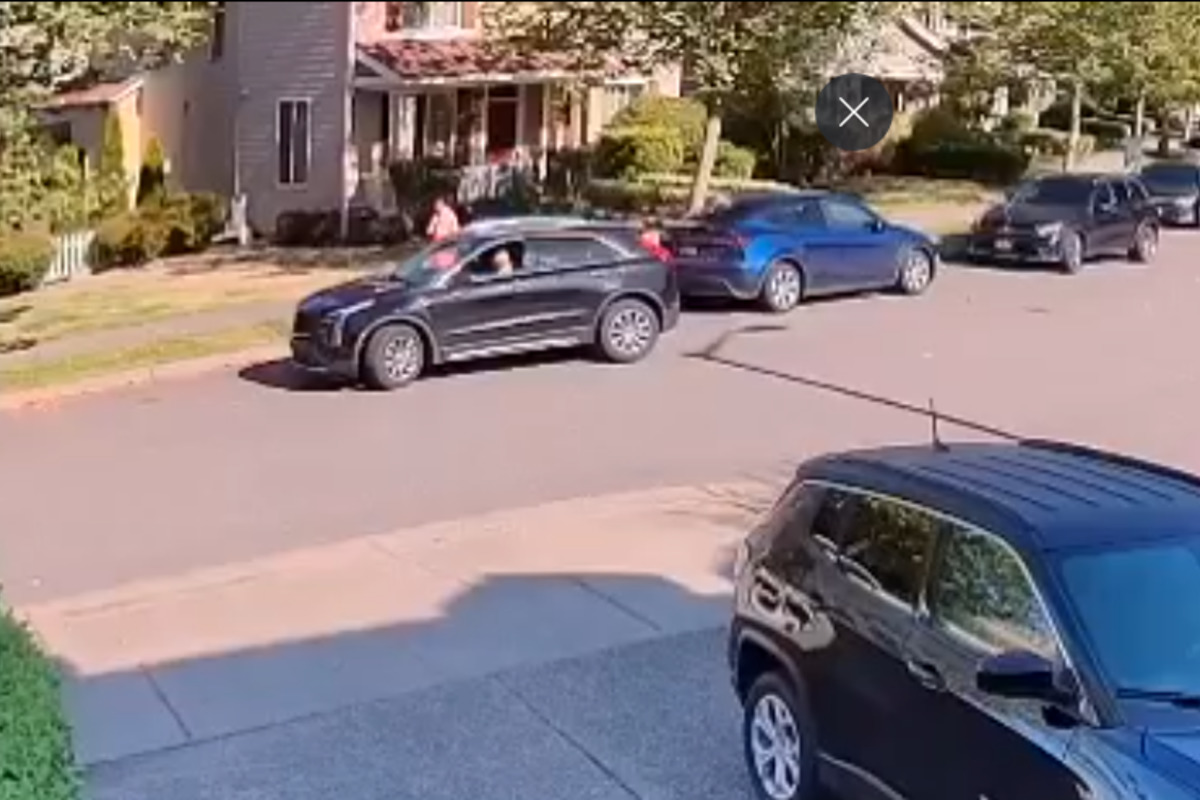 East Indian Community Targeted in Daytime Robbery Spree by Suspected