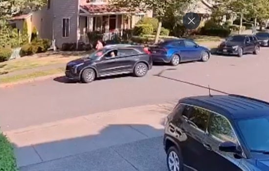 East Indian Community Targeted in Daytime Robbery Spree by Suspected Organized Group