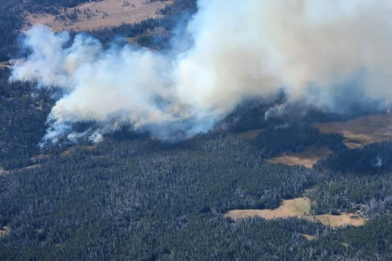 Elizabeth Ridge Fire Challenges Firefighters Amid Dense Woodland in Utah's Uinta-Wasatch-Cache National Forest