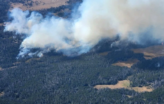 Elizabeth Ridge Fire Challenges Firefighters Amid Dense Woodland in Utah's Uinta-Wasatch-Cache National Forest