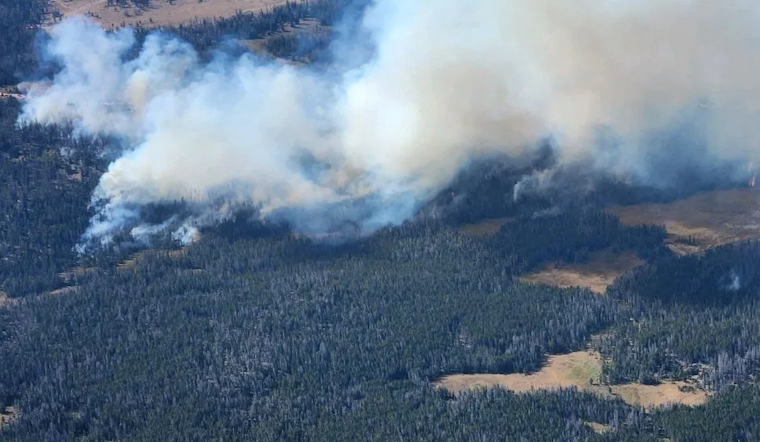 Elizabeth Ridge Fire Challenges Firefighters Amid Dense Woodland in Utah's Uinta-Wasatch-Cache National Forest