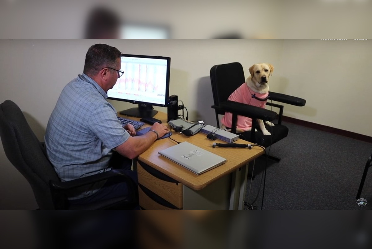 Everest Undergoes Crucial Interrogation and Polygraph Test Ahead of