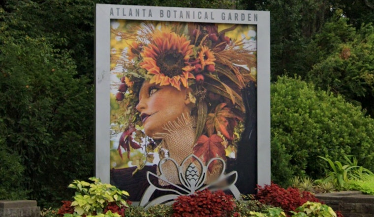 Experience the Unique Bloom: Atlanta Botanical Garden Showcases Rare African Corpse Flowers with Must-Smell Appeal