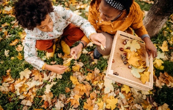 Explore Autumn Delights at The Landing's Fall Leaves Scavenger Hunt & Nature Art Event in Minnesota