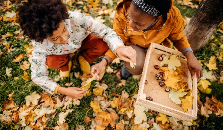 Explore Autumn Delights at The Landing's Fall Leaves Scavenger Hunt & Nature Art Event in Minnesota