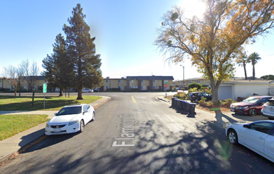 Fairfield Man Arrested After Attempted Break-In Through Doggy Door