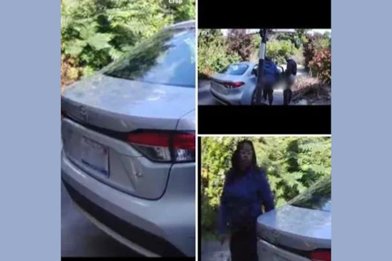 Farmington Hills Police Seek Public Help to Identify Couple in Indecent Driveway Incident