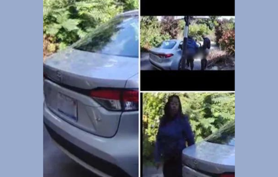 Farmington Hills Police Seek Public Help to Identify Couple in Indecent Driveway Incident