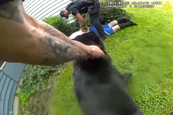 Father and Son Arrested for Armed Robbery at Saars Market in Pierce County, K9 Officer Eddie Retires Following Final Successful Pursuit