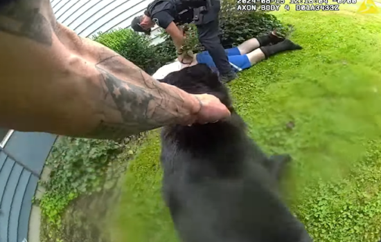 Father and Son Arrested for Armed Robbery at Saars Market in Pierce County, K9 Officer Eddie Retires Following Final Successful Pursuit