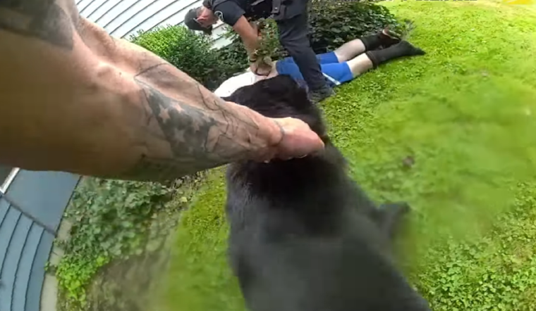 Father and Son Arrested for Armed Robbery at Saars Market in Pierce County, K9 Officer Eddie Retires Following Final Successful Pursuit