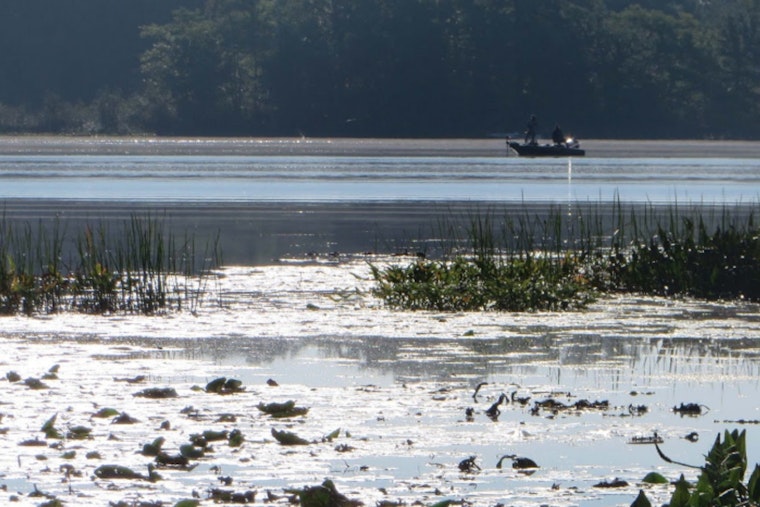 Fears Mount for Missing Rodney Man After Boat Capsizes on Lower Evans Lake