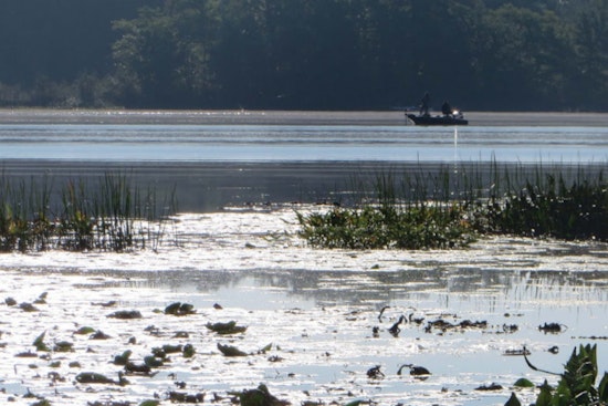 Fears Mount for Missing Rodney Man After Boat Capsizes on Lower Evans Lake