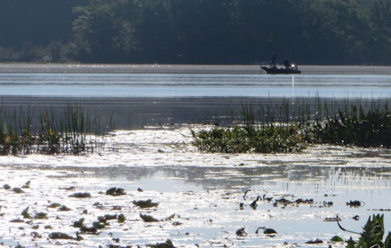 Fears Mount for Missing Rodney Man After Boat Capsizes on Lower Evans Lake