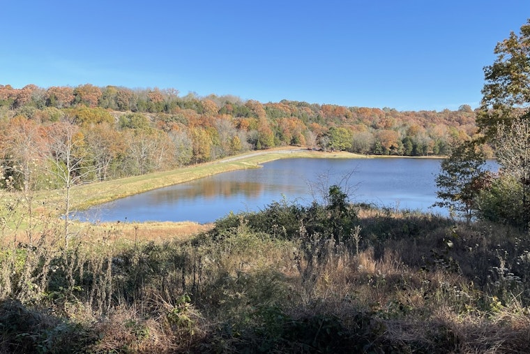 Ferne Clyffe State Park to Celebrate 75 Years with Guided Hikes and Climbing Events in Illinois