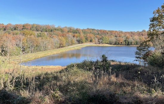 Ferne Clyffe State Park to Celebrate 75 Years with Guided Hikes and Climbing Events in Illinois
