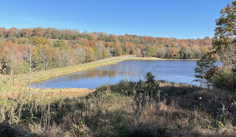 Ferne Clyffe State Park to Celebrate 75 Years with Guided Hikes and Climbing Events in Illinois
