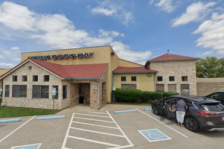 Find Your Furry Match: Every Dog's Day Adoption Event Today on Main St. in Frisco