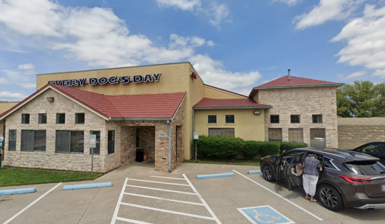 Find Your Furry Match: Every Dog's Day Adoption Event Today on Main St. in Frisco