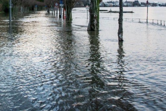 Flood Warning Issued for Knox and Sevier Counties, NWS Advises Caution Near French Broad River