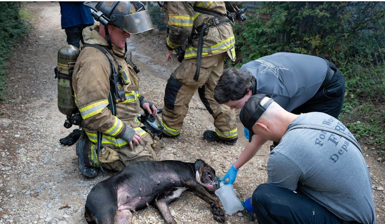 Fort Worth Firefighters Heroically Rescue Pets Amidst House Blaze on Arbor Street