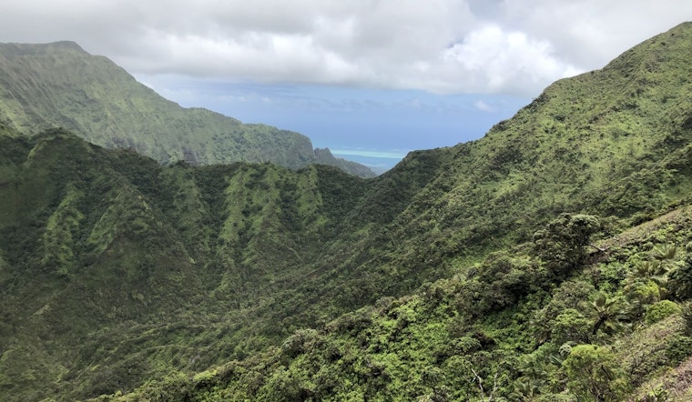 Fourteen Hikers Arrested for Trespassing at Ha‘Ikū Stairs Construction Zone in Honolulu
