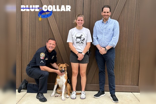 Franklin Police Partner with Williamson County Animal Shelter to Boost Pet Adoptions in Online "Blue-Collar" Series